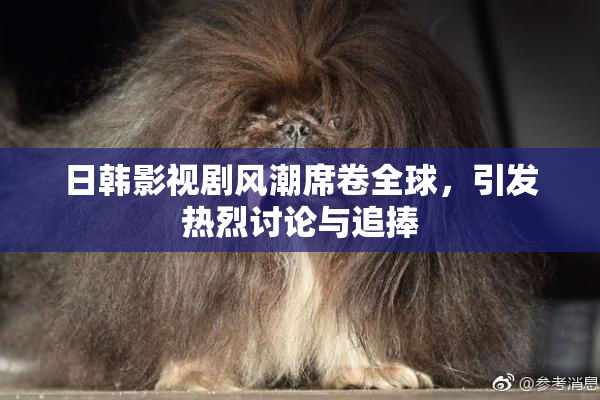 日韩影视剧风潮席卷全球，引发热烈讨论与追捧