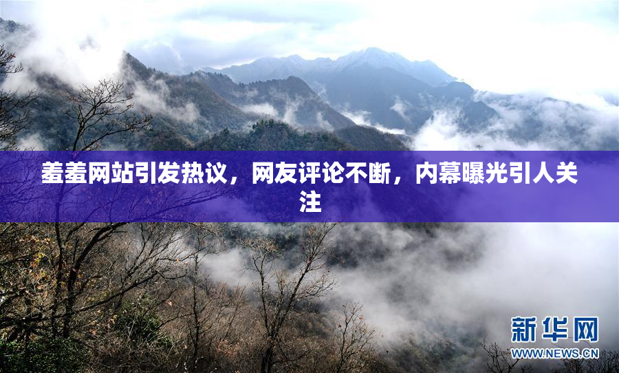 羞羞网站引发热议，网友评论不断，内幕曝光引人关注
