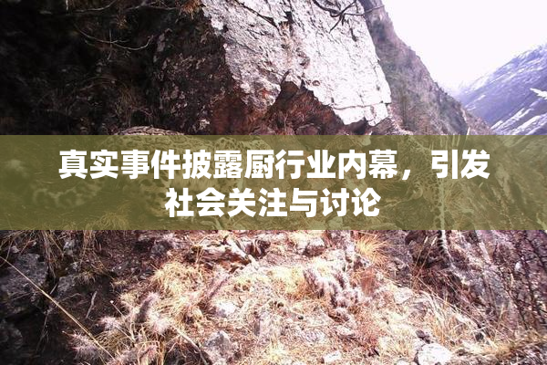 真实事件披露厨行业内幕，引发社会关注与讨论