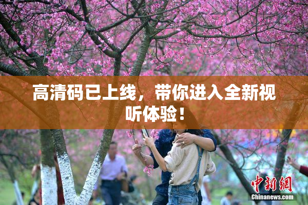 高清码已上线，带你进入全新视听体验！