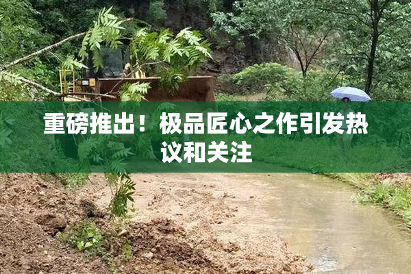 重磅推出！极品匠心之作引发热议和关注