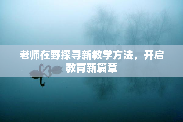 老师在野探寻新教学方法，开启教育新篇章