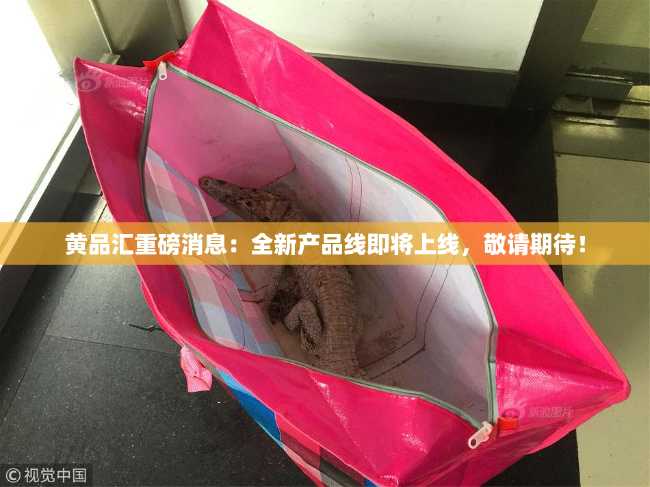 黄品汇重磅消息：全新产品线即将上线，敬请期待！