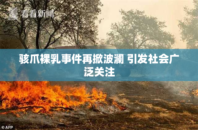 骇爪裸乳事件再掀波澜 引发社会广泛关注
