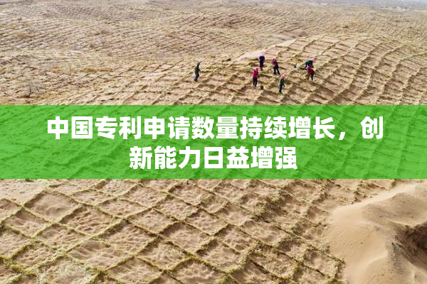 中国专利申请数量持续增长，创新能力日益增强