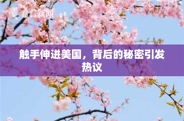 触手伸进美国，背后的秘密引发热议