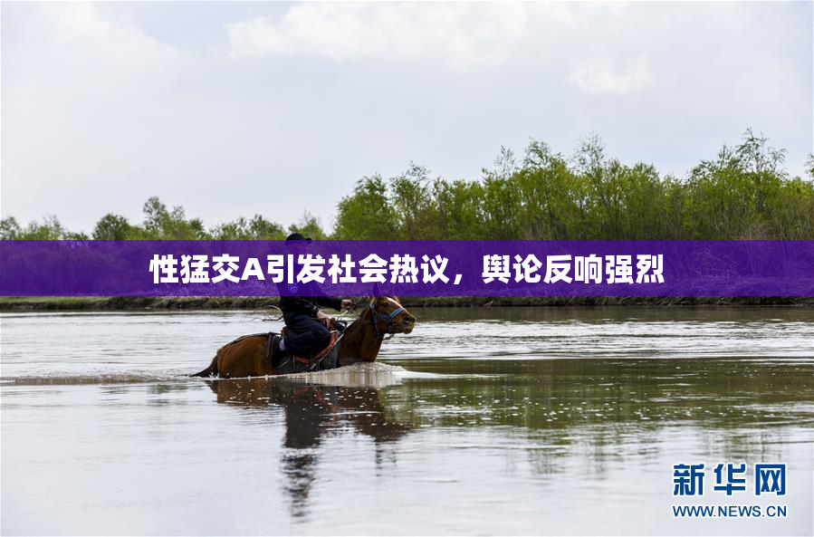 性猛交A引发社会热议，舆论反响强烈
