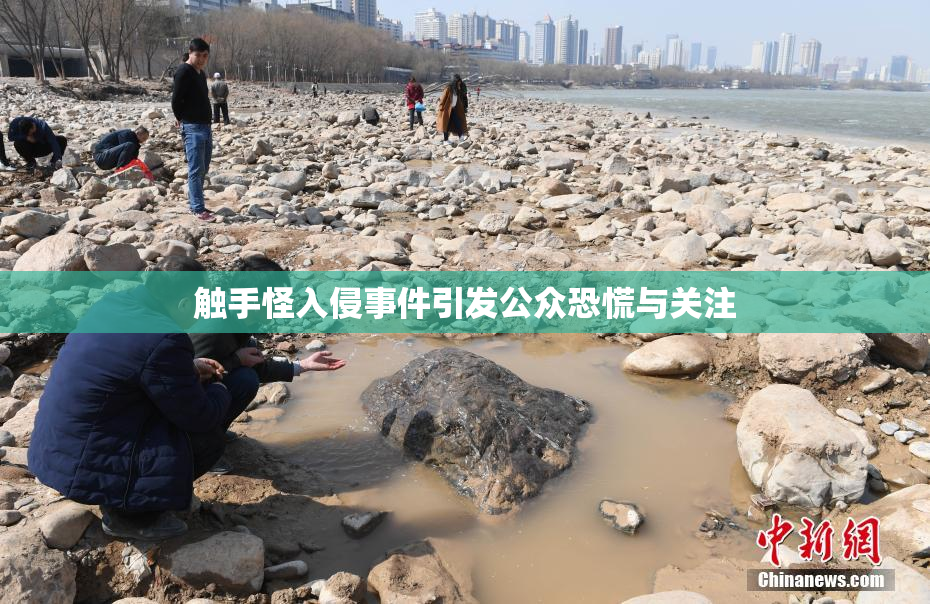 触手怪入侵事件引发公众恐慌与关注