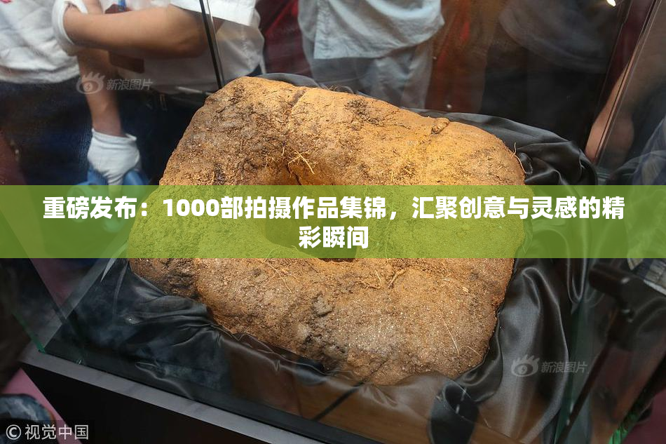 重磅发布：1000部拍摄作品集锦，汇聚创意与灵感的精彩瞬间