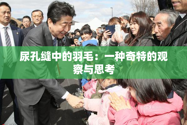 尿孔缝中的羽毛：一种奇特的观察与思考