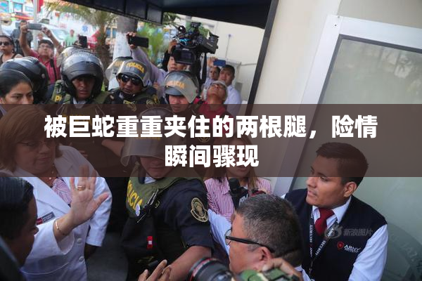 被巨蛇重重夹住的两根腿，险情瞬间骤现