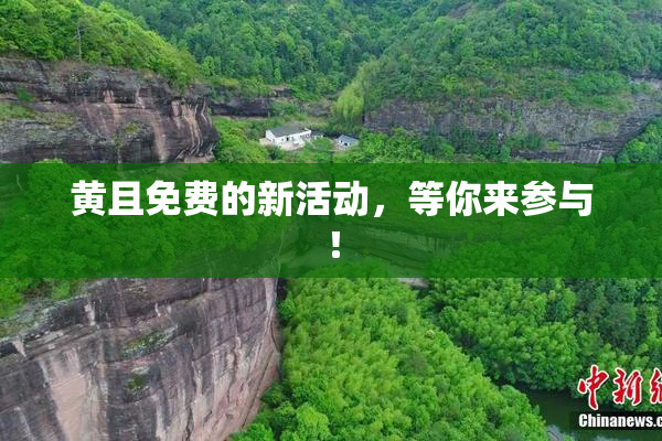 黄且免费的新活动，等你来参与！