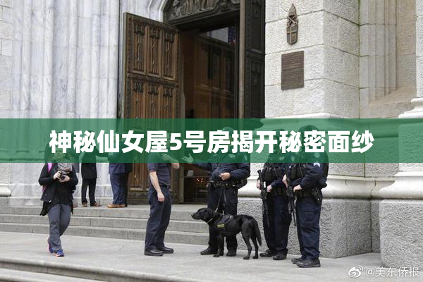 神秘仙女屋5号房揭开秘密面纱