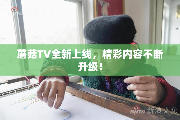 蘑菇TV全新上线，精彩内容不断升级！