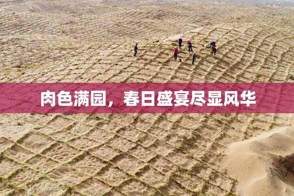 肉色满园，春日盛宴尽显风华