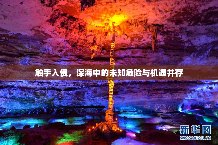 触手入侵，深海中的未知危险与机遇并存