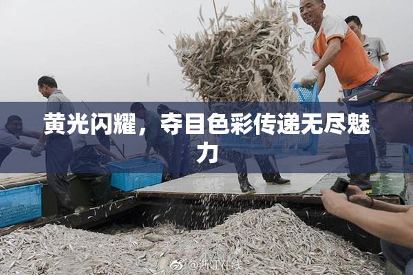 黄光闪耀，夺目色彩传递无尽魅力