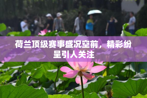 荷兰顶级赛事盛况空前，精彩纷呈引人关注