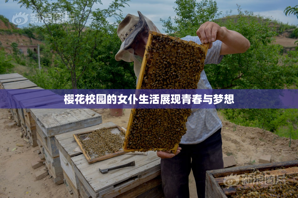 樱花校园的女仆生活展现青春与梦想