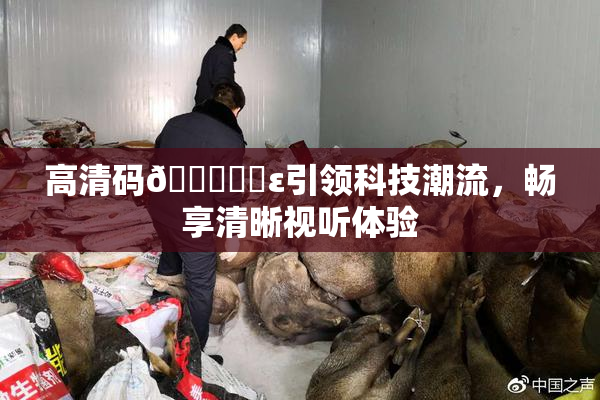 高清码🔞❌‌ε引领科技潮流，畅享清晰视听体验