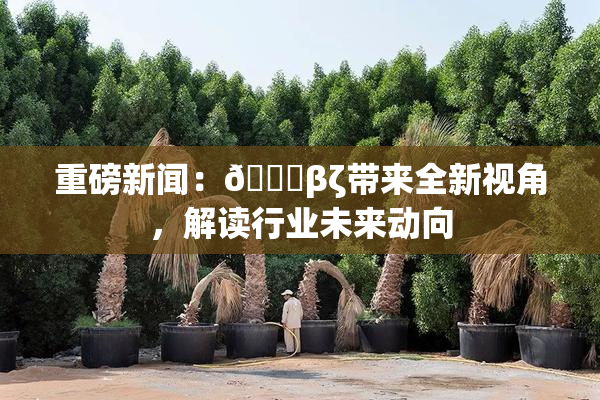 重磅新闻：👙βζ带来全新视角，解读行业未来动向