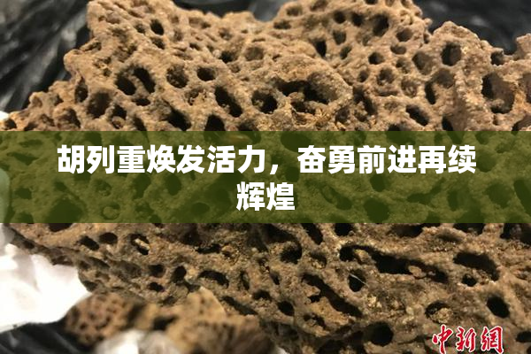 胡列重焕发活力，奋勇前进再续辉煌