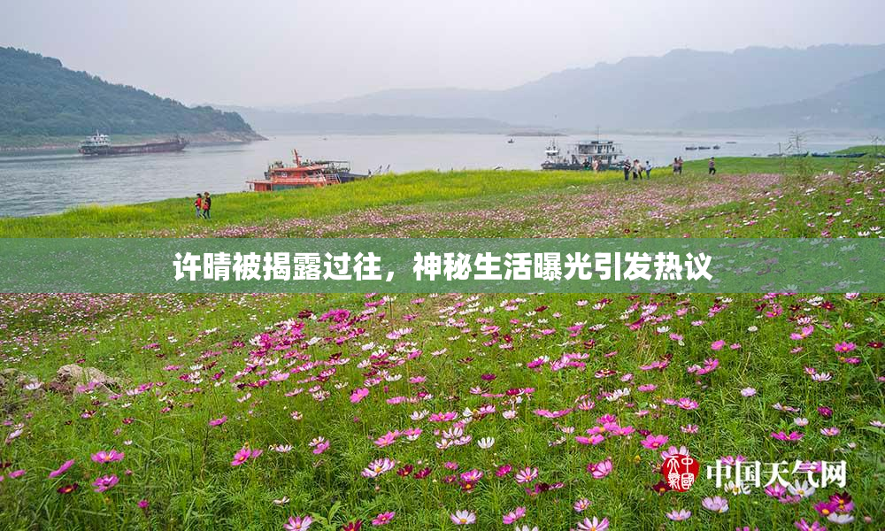 许晴被揭露过往，神秘生活曝光引发热议