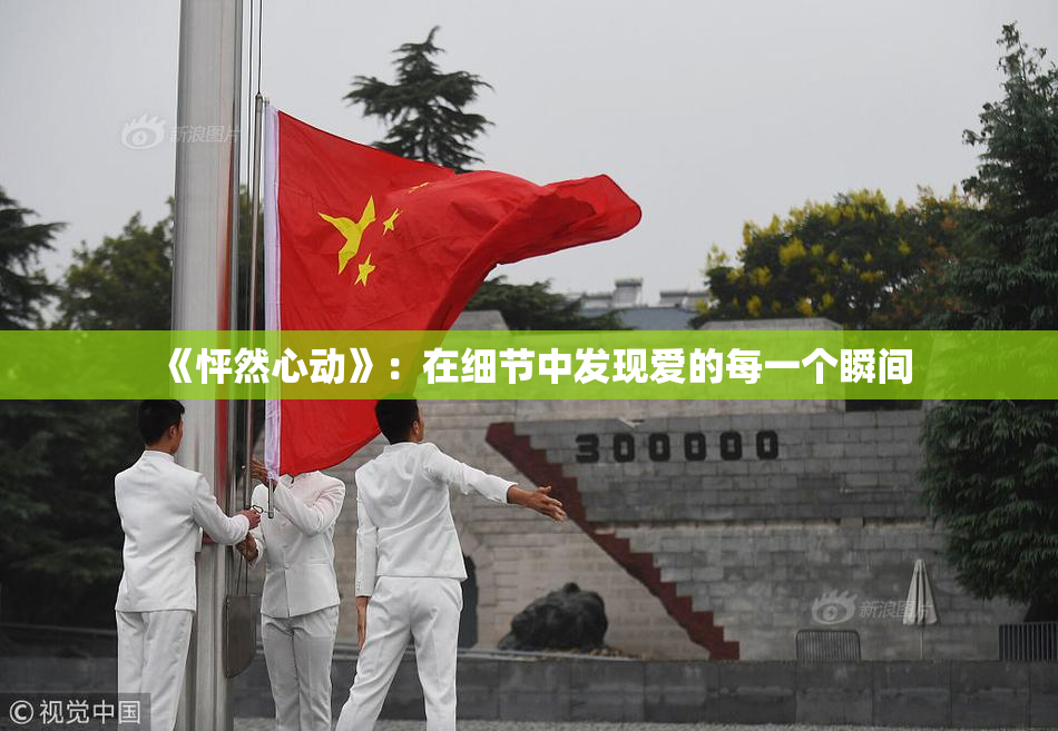 《怦然心动》：在细节中发现爱的每一个瞬间