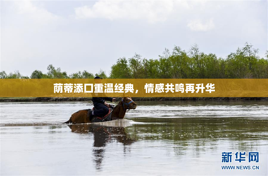 荫蒂添囗重温经典，情感共鸣再升华