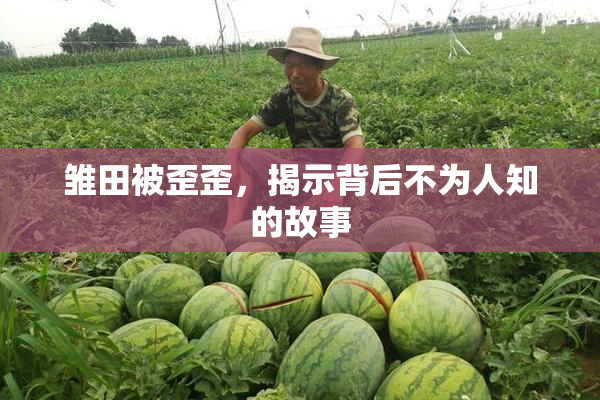 雏田被歪歪，揭示背后不为人知的故事