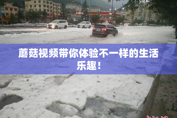 蘑菇视频带你体验不一样的生活乐趣！