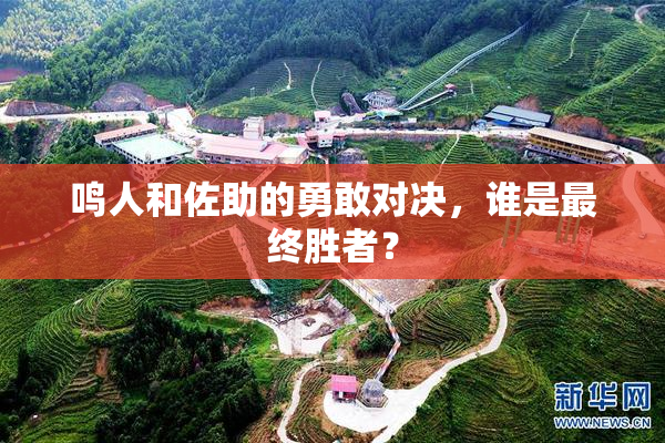 鸣人和佐助的勇敢对决，谁是最终胜者？