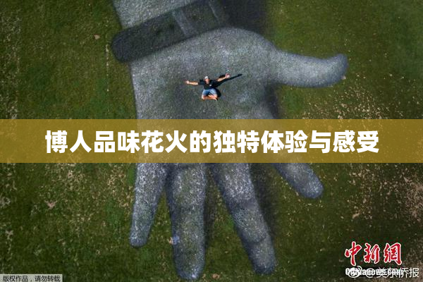博人品味花火的独特体验与感受