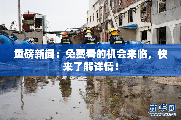重磅新闻：免费看的机会来临，快来了解详情！