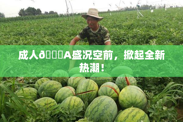 成人🔞A盛况空前，掀起全新热潮！