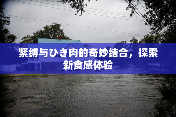 紧缚与ひき肉的奇妙结合，探索新食感体验