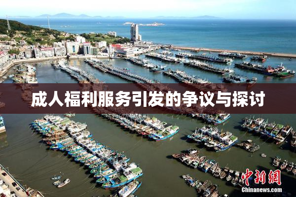 成人福利服务引发的争议与探讨