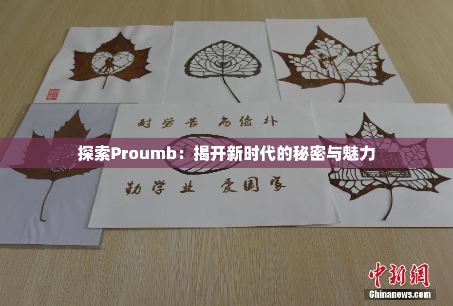 探索Proumb：揭开新时代的秘密与魅力