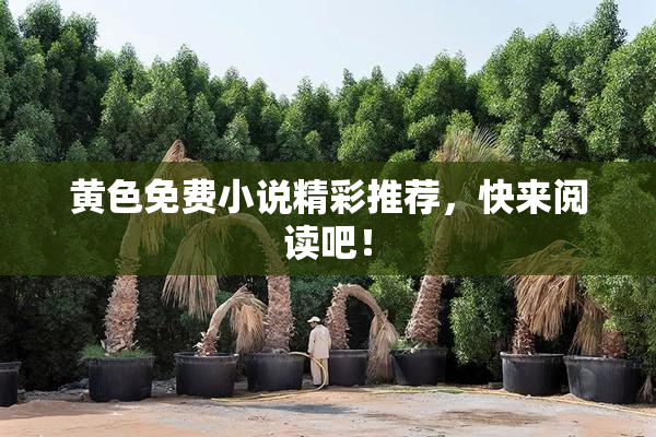 黄色免费小说精彩推荐，快来阅读吧！