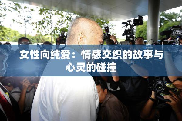 女性向纯爱：情感交织的故事与心灵的碰撞