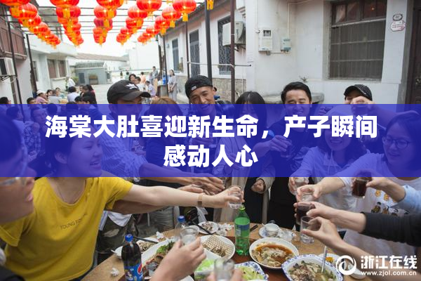 海棠大肚喜迎新生命，产子瞬间感动人心
