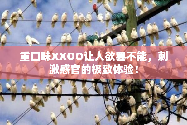 重口味XXOO让人欲罢不能，刺激感官的极致体验！