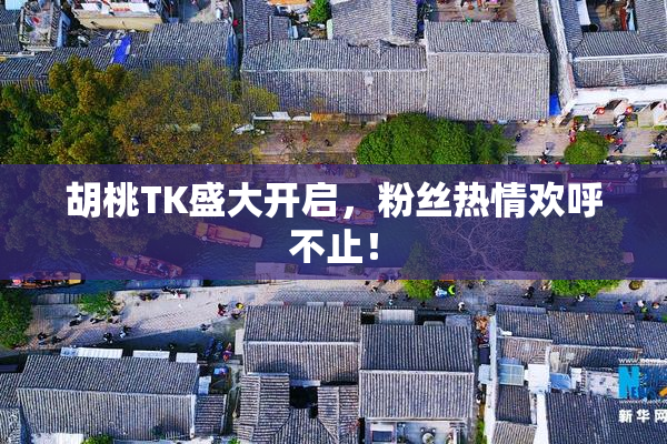 胡桃TK盛大开启，粉丝热情欢呼不止！