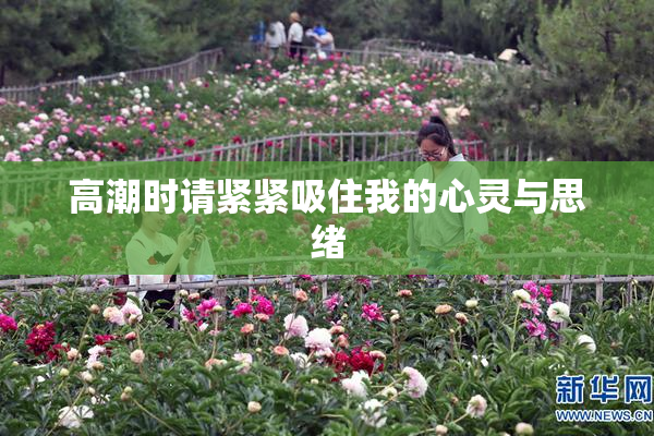 高潮时请紧紧吸住我的心灵与思绪