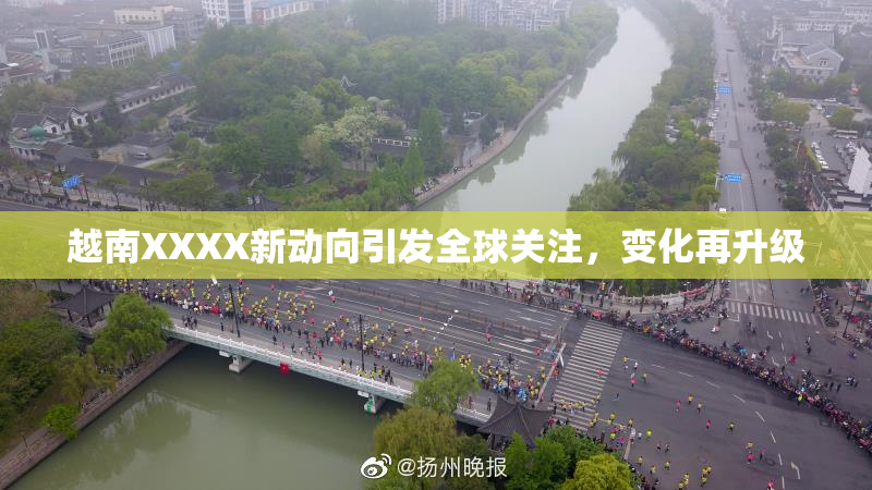 越南XXXX新动向引发全球关注，变化再升级