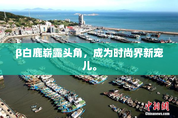 β白鹿崭露头角，成为时尚界新宠儿。