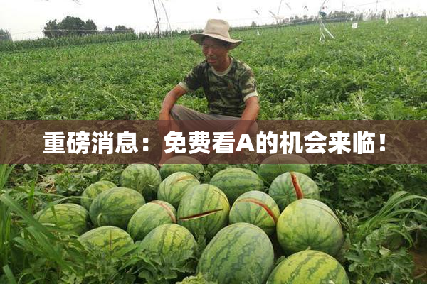 重磅消息：免费看A的机会来临！