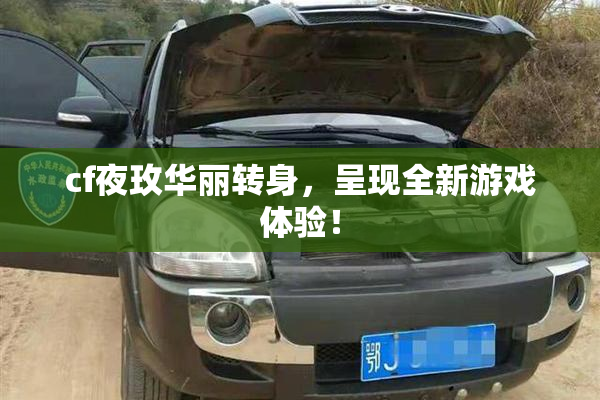 cf夜玫华丽转身，呈现全新游戏体验！