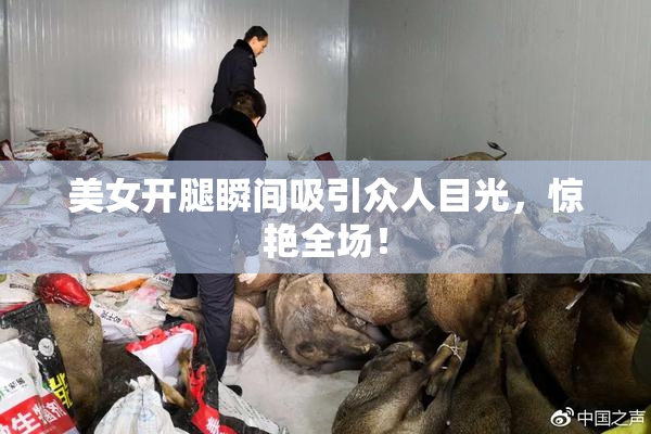 美女开腿瞬间吸引众人目光，惊艳全场！