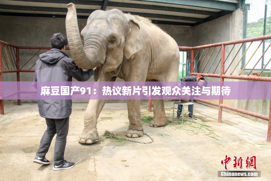 麻豆国产91：热议新片引发观众关注与期待